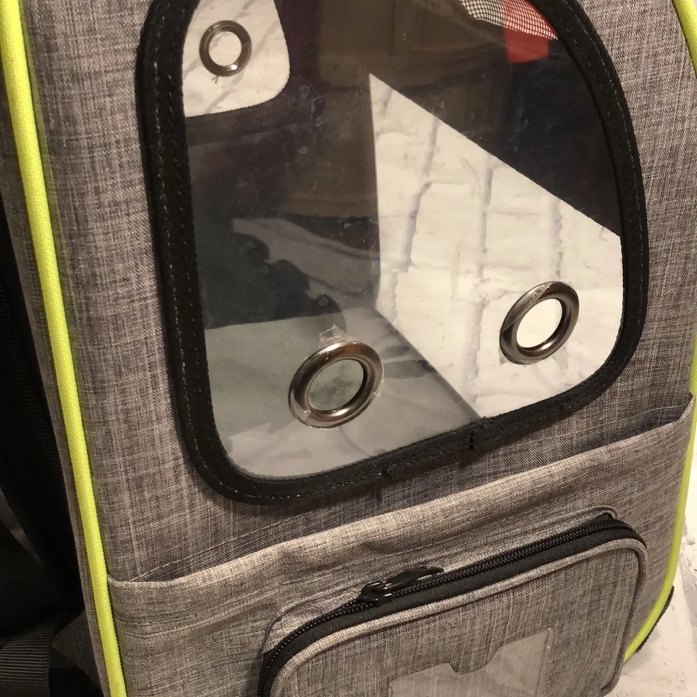 Pecute Cat 🐈 Backpack 🎒